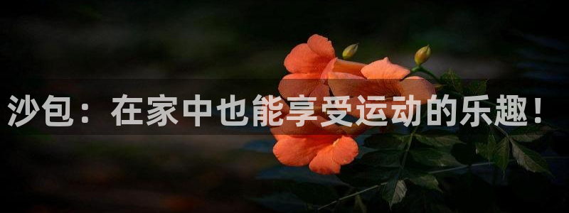 fb体育平台注册流程视频：沙包：在家中也能享受运动的
