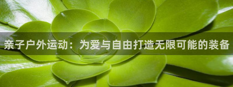 fb体育招商电话号码是多少号：亲子户外运动：为爱与自由打造无