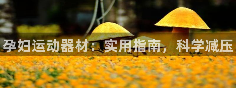 fb体育集团简介：孕妇运动器材：实用指南，科学减压