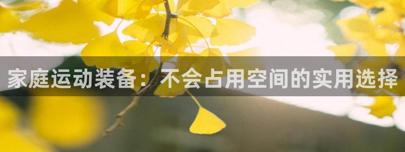 fb体育招商电话是多少号码：家庭运动装备：不会占用空