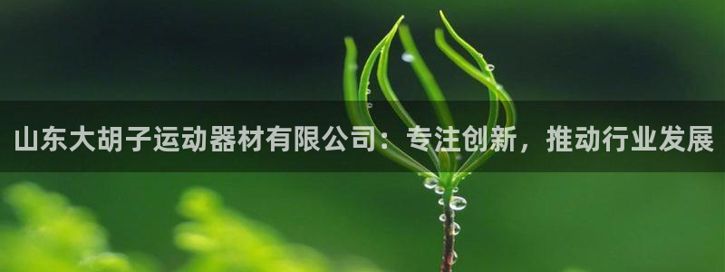fb体育娱乐首页官网下载：山东大胡子运动器材有限公司
