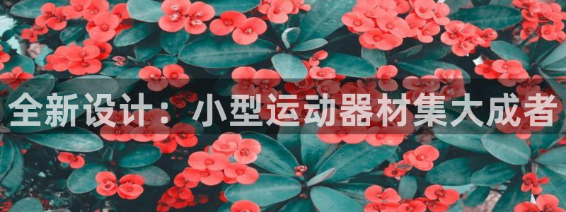 fb体育神州：全新设计：小型运动器材集大成者