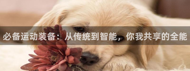 fb体育娱乐网站：必备运动装备：从传统到智能，你我共享的全能