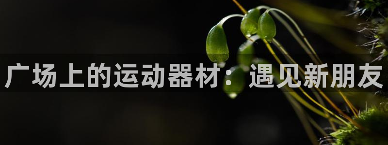 fb体育平台注册流程视频：广场上的运动器材：遇见新朋友