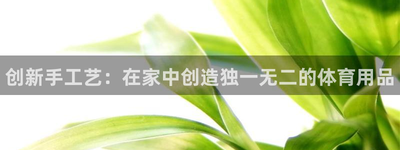 fb体育招商电话号码是多少：创新手工艺：在家中创造独一无二的