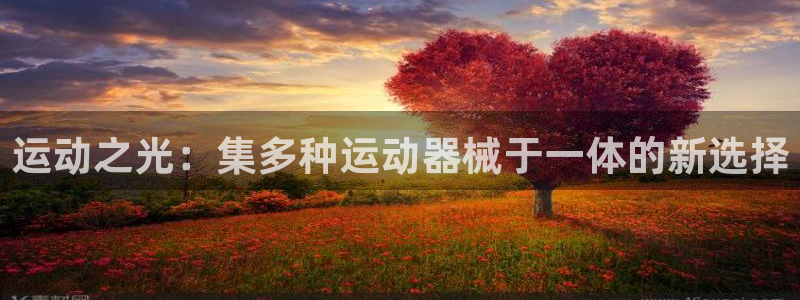 fb体育平台注册流程视频：运动之光：集多种运动器械于