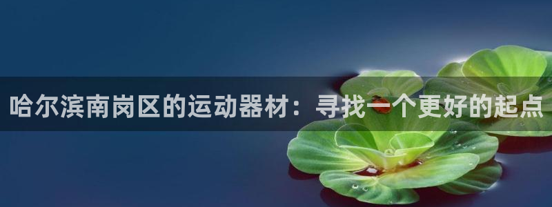 fb体育平台注册要钱吗安全吗：哈尔滨南岗区的运动器材：寻找一