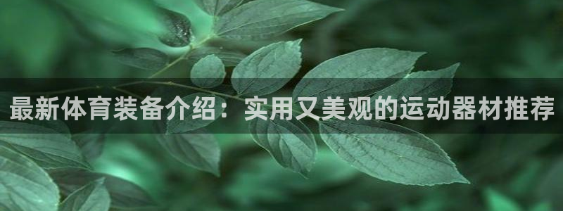 注册fb体育：最新体育装备介绍：实用又美观的运动器材
