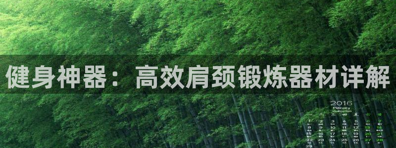 fb体育平台是正规平台吗安全吗：健身神器：高效肩颈锻炼器材详