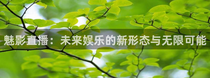 山猫足球免费直播高清版
