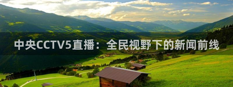 足球直播山猫：中央CCTV5直播：全民视野下的新闻前线