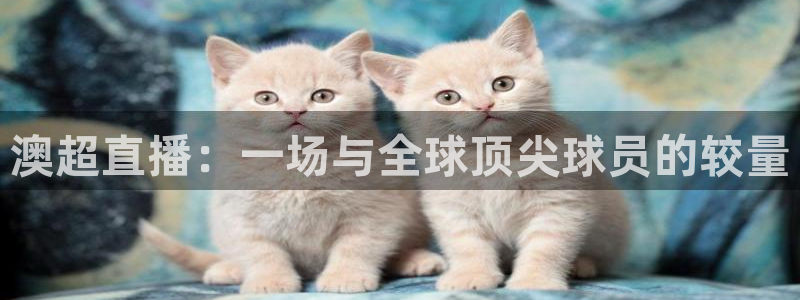 山猫直播在线观看：澳超直播：一场与全球顶尖球员的较量