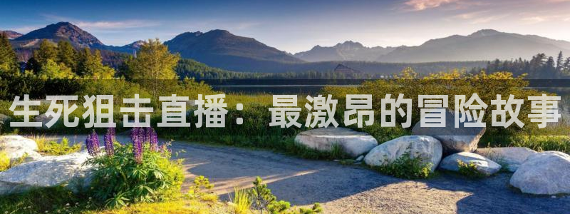 山猫免费直播