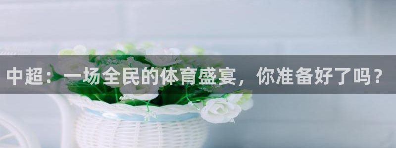 山猫体育直播在线观看免费：中超：一场全民的体育盛宴，你准备好了吗？