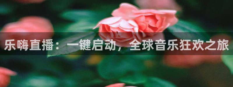 山猫直播足球免费：乐嗨直播：一键启动，全球音乐狂欢之旅